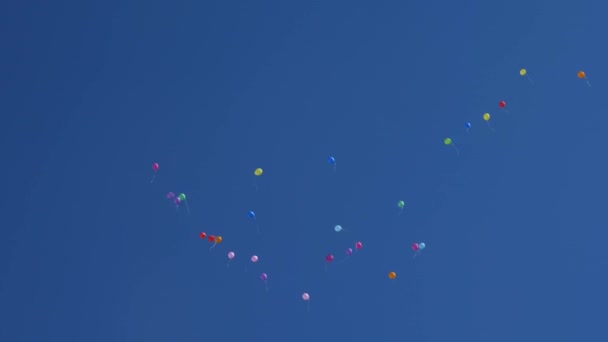 mooie helium ballonnen vliegen door de lucht. Veel kleurrijke ballonnen vliegen in de lucht. vakantieconcept - Video