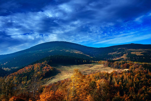ポーランドのカルコノス山。標的に行け山の峰からの秋の景色。秋の山々の素晴らしいシーン。幻想的な朝の日差しの中で黄色とオレンジの木。秋の山と木の風景 - 写真・画像
