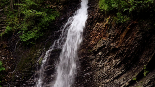 Hermosa cascada en verano. Una cascada rápida. Vista de la cascada desde abajo
 - Metraje, vídeo