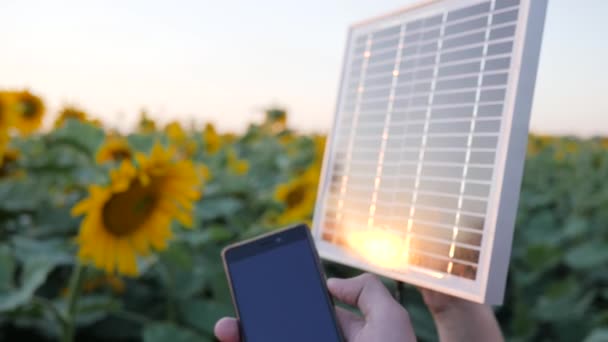 Aufladen von Mobiltelefonen in Nahaufnahme im Gegenlicht, Zeiger halten Solarmodul vor blauem Himmel und Sonnenblumen, Mobiltelefon - Filmmaterial, Video