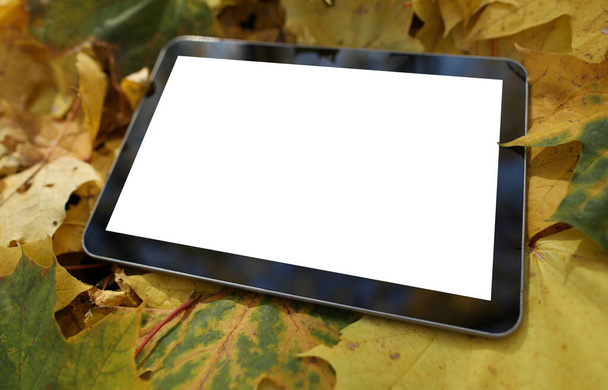 tablet lies on the fallen yellow leaves background - Photo, Image
