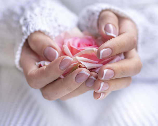 Zimowy francuski manicure z różowym kwiatem róży w rękach kobiet. Zamknij selektywne skupienie na kobiecych dłoniach. Zimowa koncepcja pielęgnacji dłoni - Zdjęcie, obraz
