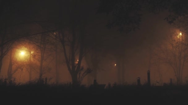 Ομιχλώδες τρομακτικό φόντο νύχτα φθινόπωρο - Πλάνα, βίντεο