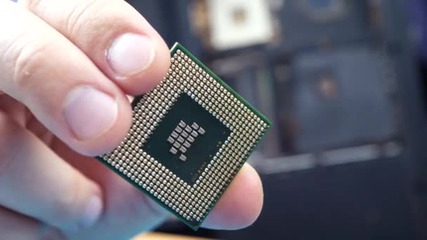 Computerreparateur hält Computer-CPU-Prozessor - Filmmaterial, Video