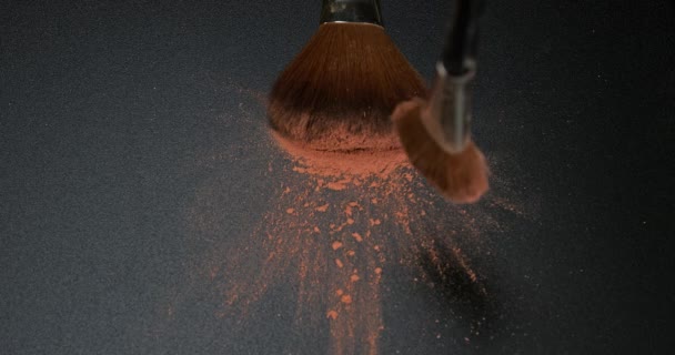 blush powder dust on make up brush - Πλάνα, βίντεο