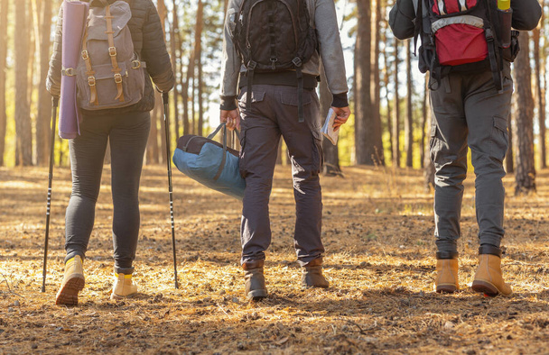 Cropped image of three hikers crossing forest in autumn - Fotó, kép