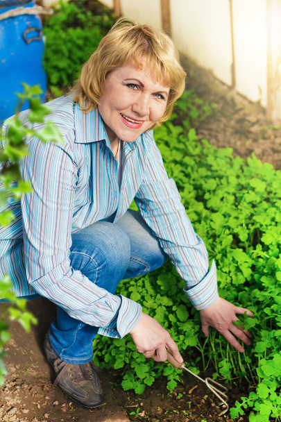 Vrouw in de tuin in het voorjaar voor te bereiden planten voor het planten - Foto, afbeelding