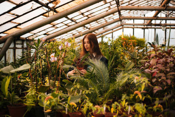A girl from the school of young wizards with a magic wand in his hand. Green magic. A sorceress conjures among plants in a greenhouse, a botany lesson is cosplay. - Photo, Image