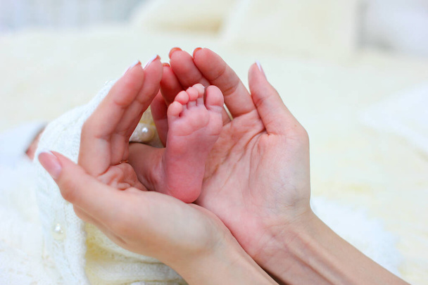 Les mains de maman tiennent un petit talon de son nouveau-né enveloppé dans une couverture chaude blanche
 - Photo, image