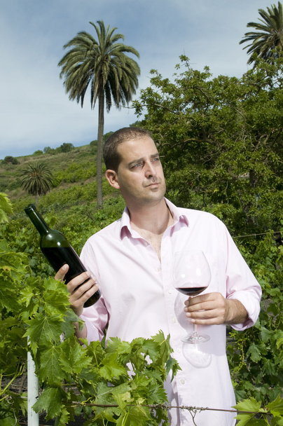 Man holding a wine bottle - Photo, Image
