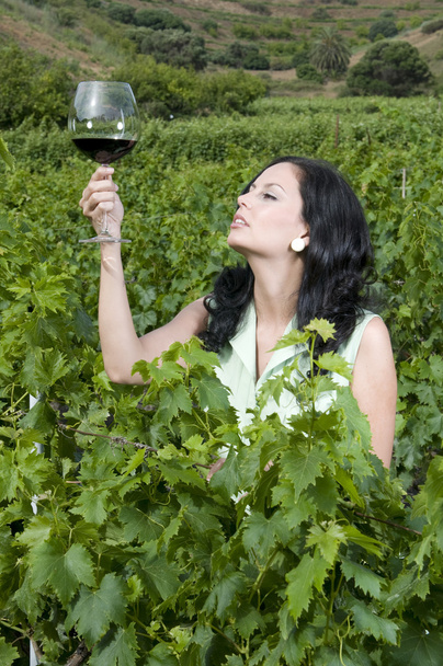 Woman tasting red wine - Foto, Bild
