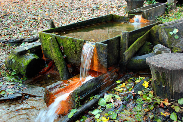 Wasserquelle im Herbstwald - Foto, Bild