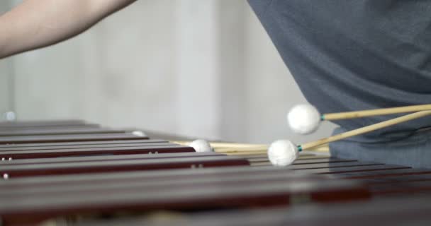 Mann bereitet sein Marimbaphon-Spiel vor, verlässt und kommt sein Musikinstrument im grauen Outfit mit grauem, industriell neutralem Hintergrund zurück - Filmmaterial, Video