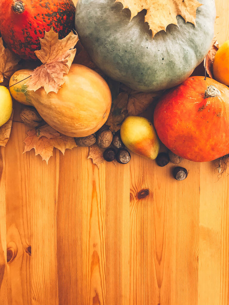 Pumpkins, autumn leaves, apples, pears, corn, nuts and chestnuts - Photo, Image