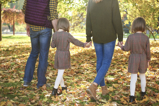 Widok z tyłu rodziny spacery w jesiennym lesie - Zdjęcie, obraz