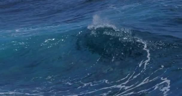 strong waves in the sea, seascape scenic view  - Footage, Video