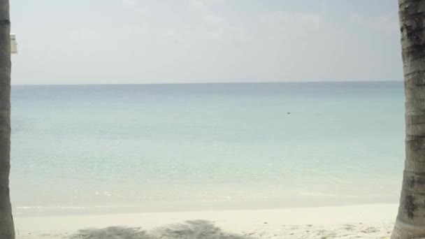 zomer ontspannen, strandligstoel op exotisch strand met palmbomen tegen warm blauw en hemel - Video