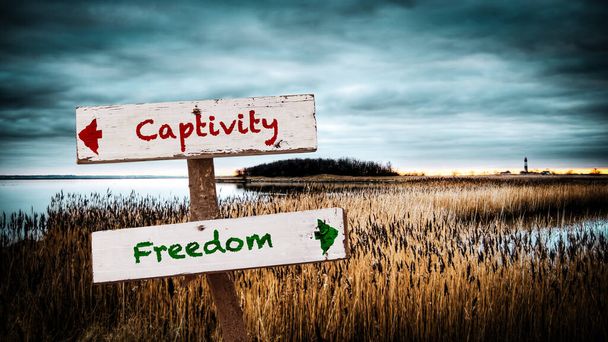 Signe de rue vers la liberté contre la captivité
 - Photo, image