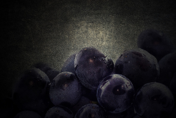 grapes - Foto, Bild