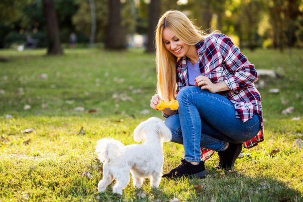 Красивая женщина играет со своей мальтийской собакой в парке
. - Фото, изображение
