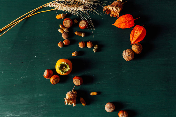 syksyllä tausta punainen ja keltainen lehdet pähkinät hedelmät
 - Valokuva, kuva