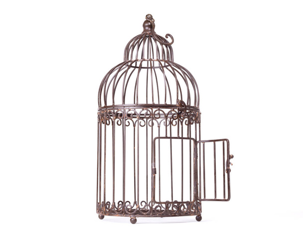 Empty birdcage on white background - Photo, Image
