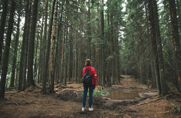 Zadek dívky na túře, stojí na pozadí lesních cest s louží. Turistka v červeném saku a s batohem na stezce v horském lese. Pěší turistika v lesním pojetí. Pozadí - Fotografie, Obrázek