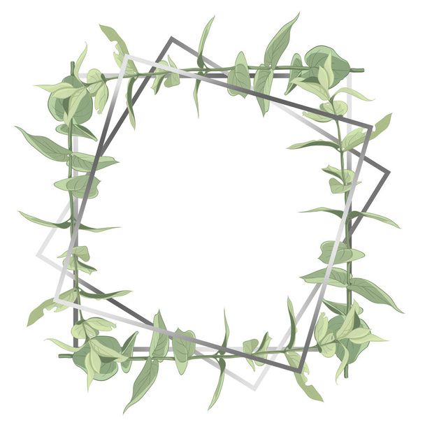 Een delicaat frame van bladeren en takken getekend in digitale graphics. Groene bladeren gelegen op een witte achtergrond. - Foto, afbeelding