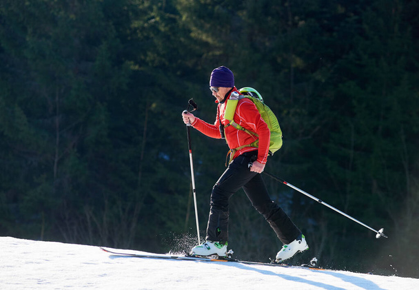 Άρρεν σκιέρ τουρίστας με σακίδιο σε γυαλιά ηλίου περπατώντας γρήγορα στα σκι μέχρι χιονισμένο λόφο στο παρασκήνιο του πάντα πράσινο έλατο δέντρα του δάσους ξύλο για ηλιόλουστη κρύα μέρα - Φωτογραφία, εικόνα