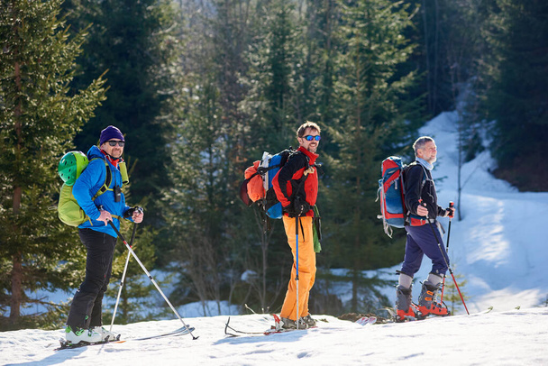 Kolme matkailijaa, mieshiihtäjiä reppuineen patikoimassa suksilla syvässä lumessa vuoristometsän läpi aurinkoisena talvipäivänä.
 - Valokuva, kuva
