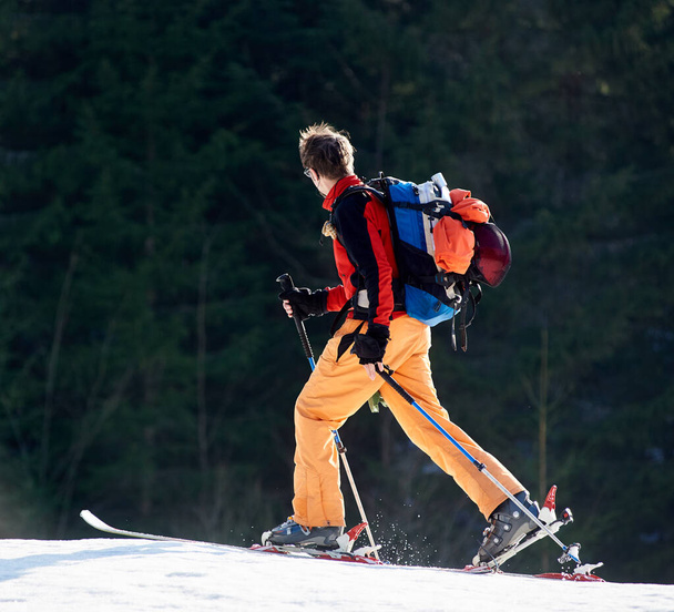 Lächelnder Mann mit Skitourenaufstieg in Richtung Gipfel unter dem Licht der Sonne vor Waldhintergrund - Foto, Bild