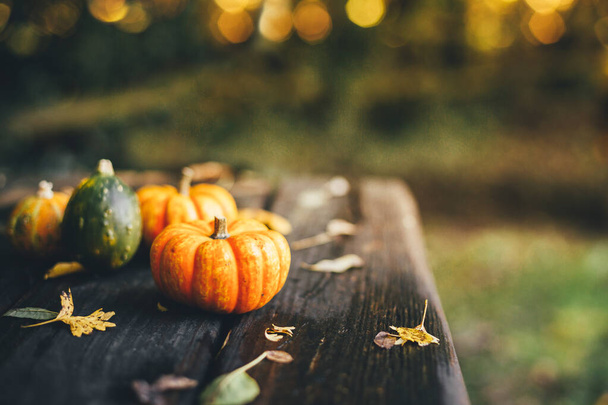Thanksgiving background with pumpkins on a rustic wooden table - Foto, imagen