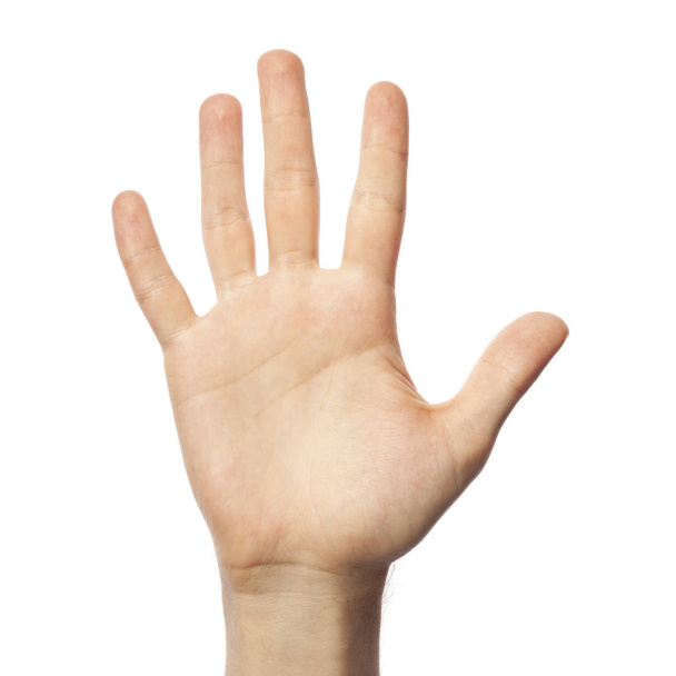  Deletreo número 5 en ASL sobre fondo blanco. Concepto de lenguaje de señas americano
 - Foto, imagen