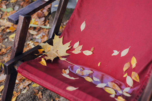 Egy halom sárga őszi levél nedves, piros fedélzet széken kültéren - Fotó, kép