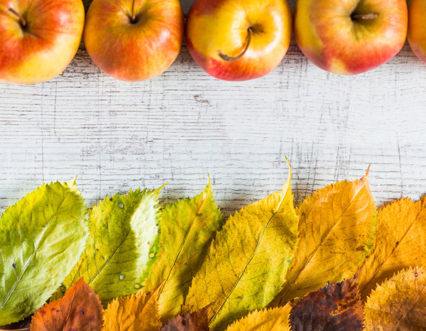 cadute colorate foglie autunnali e mele su una superficie di legno bianca vintage
 - Foto, immagini
