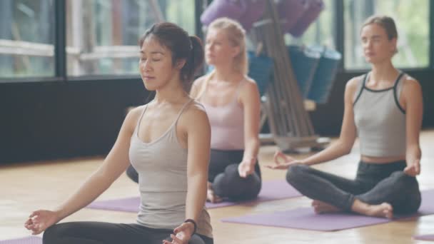 Genç, sportif insanlar eğitmenleriyle yoga dersi alıyor. Fitness stüdyosunda sağlıklı yaşam tarzı uygulayan çok ırklı bir grup kadın. Spor aktivitesi, jimnastik ya da bale dersi. - Video, Çekim