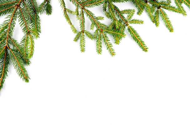 Rámeček z borových větviček izolovaný na bílém - Fotografie, Obrázek
