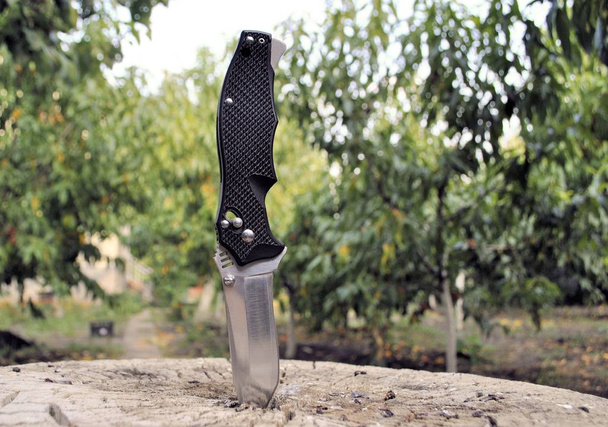Pocket folding knife stainless steel blade beautiful nature forest background - Photo, Image