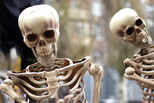 maquette d'un squelette humain debout à l'extérieur gros plan
 - Photo, image