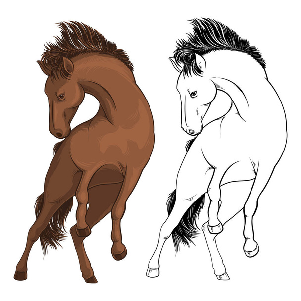 Wild horse. The brown horse kicks. Taming a horse. Vector illustration on white background. - Vector, Image