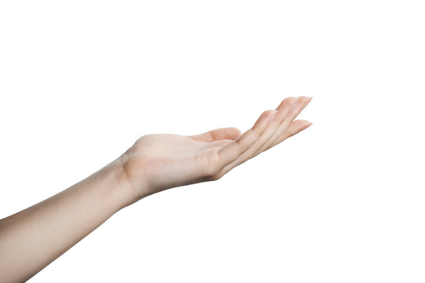 Рука красивой женщины изолирована на белом фоне. Ладонь вверх
 - Фото, изображение