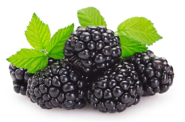 Fresh blackberry on white background - Photo, Image