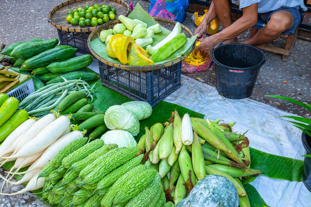 meyve ve sebzeler üzerinde bir semt pazarı, laos - Fotoğraf, Görsel