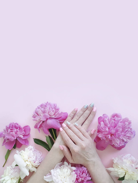 female hands manicure peony flower on a colored background - Zdjęcie, obraz