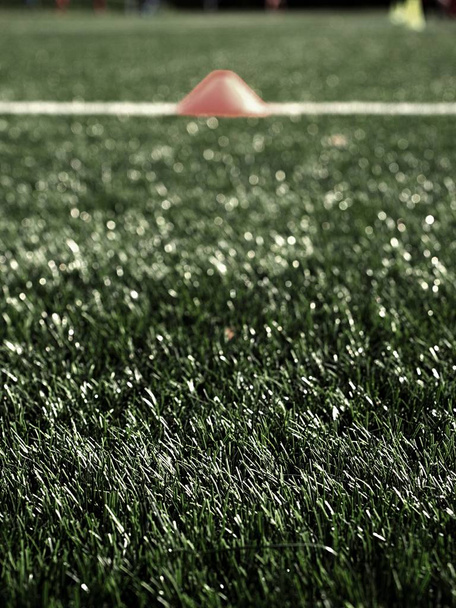 Futbol eğitim ekipmanları. Yeşil yapay çim  - Fotoğraf, Görsel