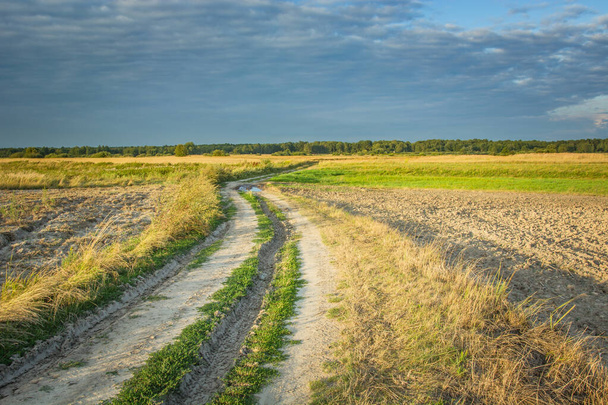 Country dirt road through fields, horizon and evening clouds - Fotó, kép