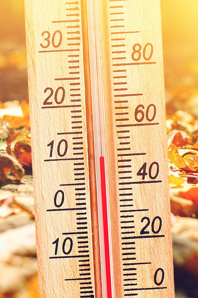 Холодна осіння погода - 10 градусів за Цельсієм. Термометр восени холодної погоди. - Фото, зображення