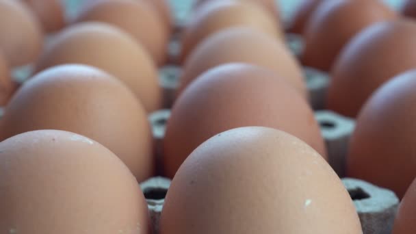 Chiudi, prendi le uova di gallina dal vassoio
 - Filmati, video