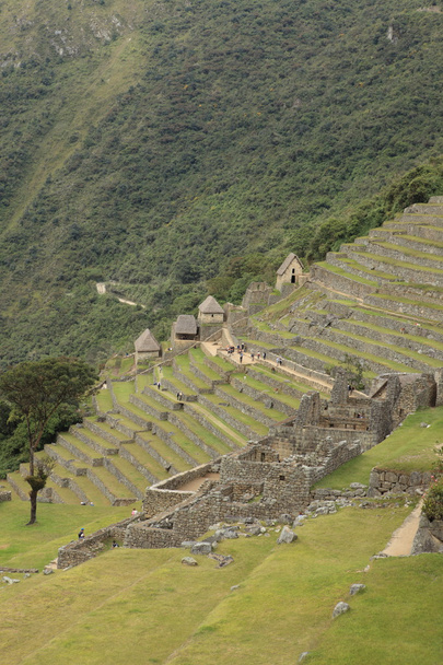 machu picchu ukryte miasto Inków w Andach - Zdjęcie, obraz