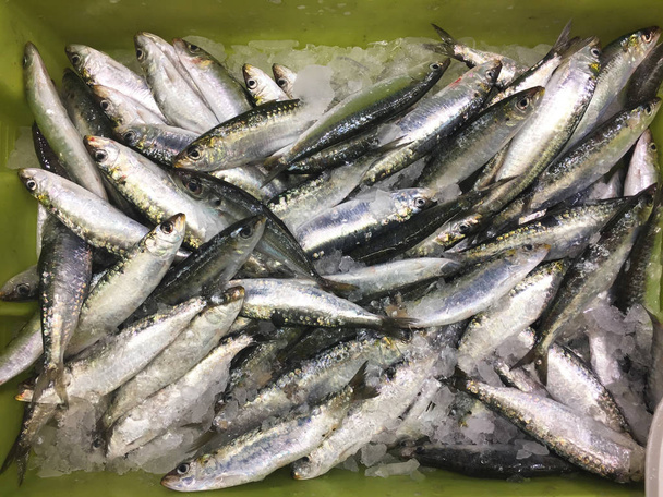 Engraulis encrasicolus szardella egy nagyon népszerű hal Spanyolországban mind a sült és pácolt tartozik a csoport az egészséges kék hal fogyasztani. - Fotó, kép